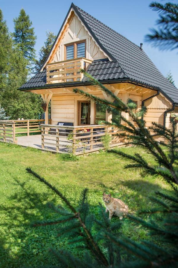 Вілла Fiedorowka Закопане Екстер'єр фото